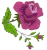 Rose with Two Buds Free Embroidery Design