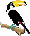 Toucan Cross Stitched Free Embroidery Design