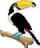 Toucan Cross Stitched Free Embroidery Design