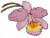 Orchid Floral Free Embroidery Design