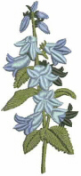 Bluebells Free Embroidery Design