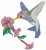 Broad Billed Hummingbird Free Embroidery Design
